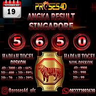 Shio Harimau Togel Hari Ini